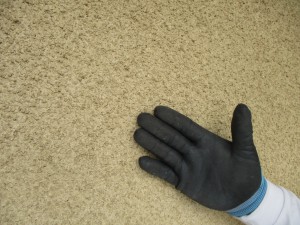 P0000019