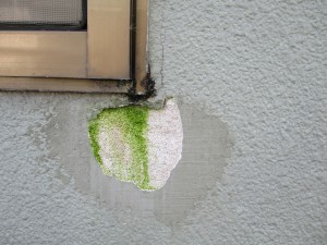 P0000038